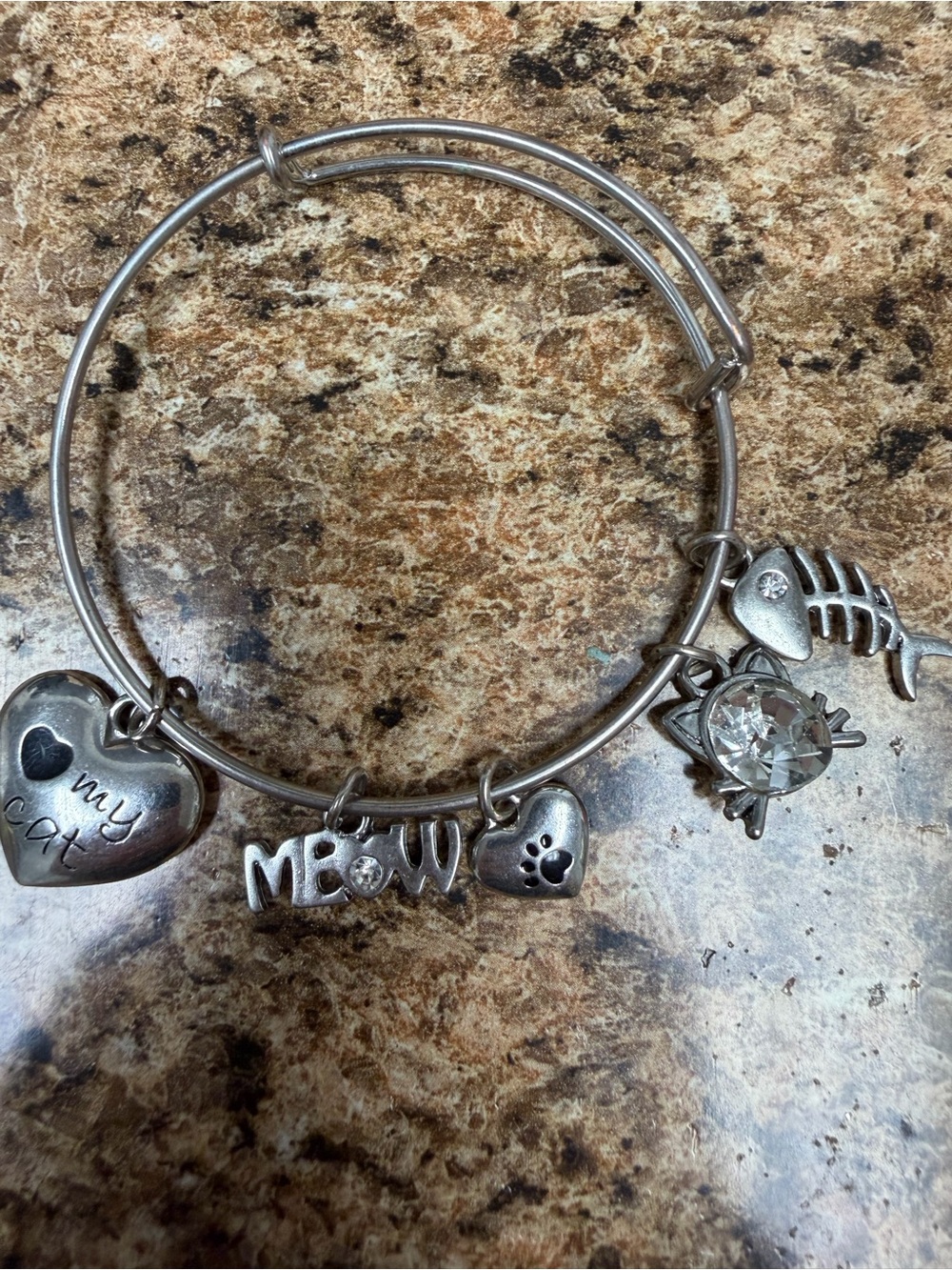 Cat Lover Expandable Charm Bangle Bracelet Silver Tone Meow Paw Fishbone